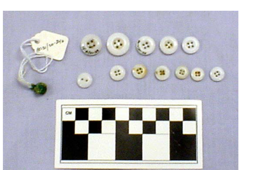 Euro-American porcelain buttons and a Chinese copper-alloy button from Feature 20.