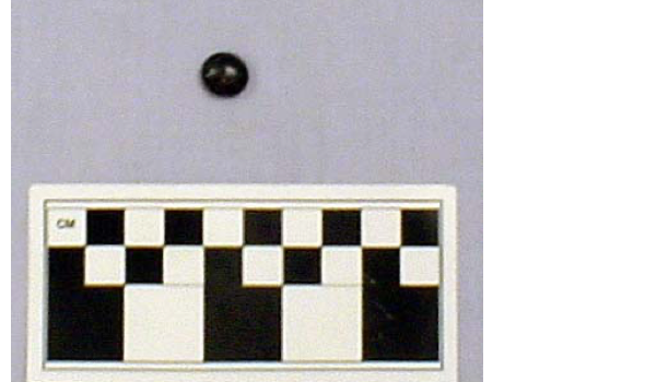 Small dark zhu disk gaming counter from Feature 20 with a centimeter scale.